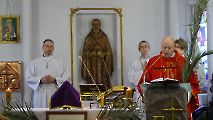 Niedziela Palmowa 2023 r.
