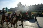 Kraków_81